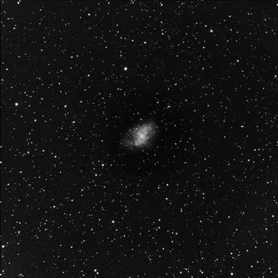 Bill Perry's M1 Crab Nebula